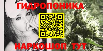 амфетамин Обь
