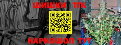 индика Обнинск