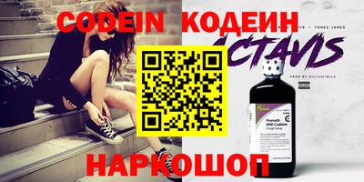 индика Обнинск