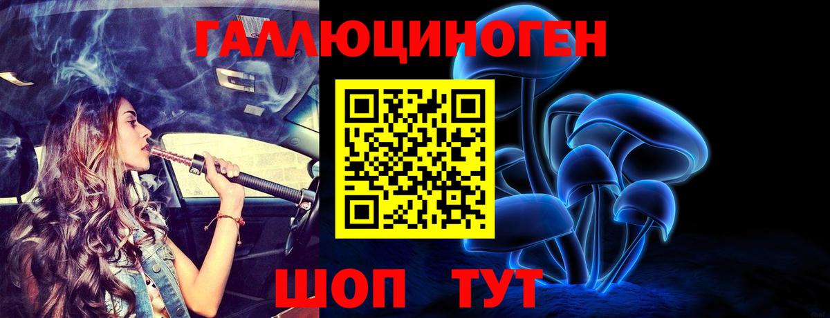Псилоцибиновые грибы Psilocybine cubensis Реж